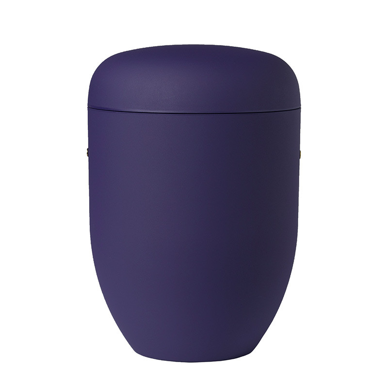 BESTLA PURPLE NR. 25-900