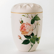 YDUN HVID Med rose NR UM107