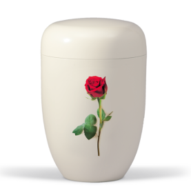 BESTLA CREAM WHITE WITH ROSE NO. 25-3833R