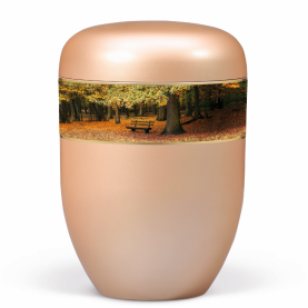 BESTLA Rosegold M decorative ribbon NR. 25531