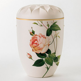 YDUN HVID Med rose NR UM107