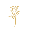 Lilje Symbol - Guld