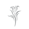 Lilje Symbol - Sølv