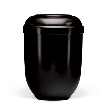 GEFN GLOSS SORT NR. 21880