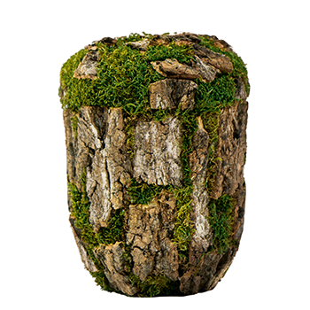 NATUR BARK NR. 21991