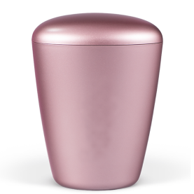 HEIM ROS&Eacute; NR. 26875oE