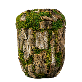 Natur Bark nr. 21991